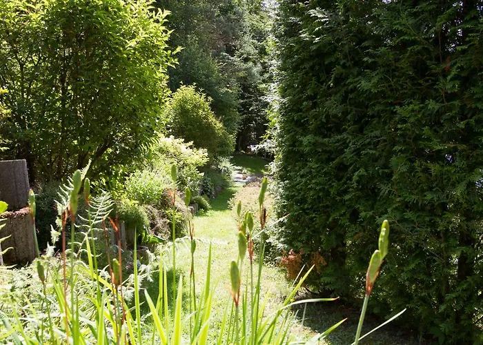 度假居 Zum Rothaarsteig Selbstversorgerhaus 内托芬